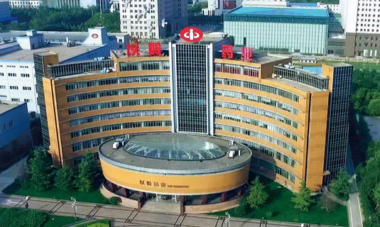 祝賀顆粒物過濾（lǜ）效率（lǜ）儀中標石家莊以嶺藥業！